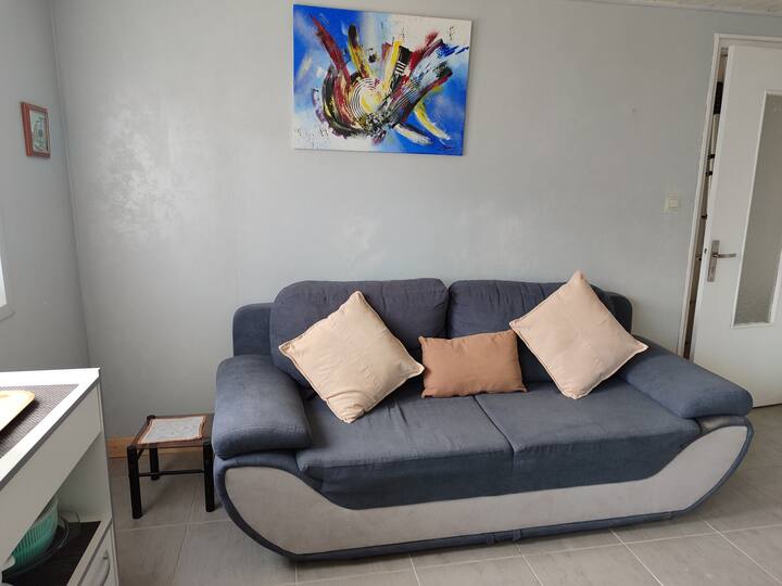 Maison 2 Chambres Avec Terrasse - Saint-Jean-de-Monts