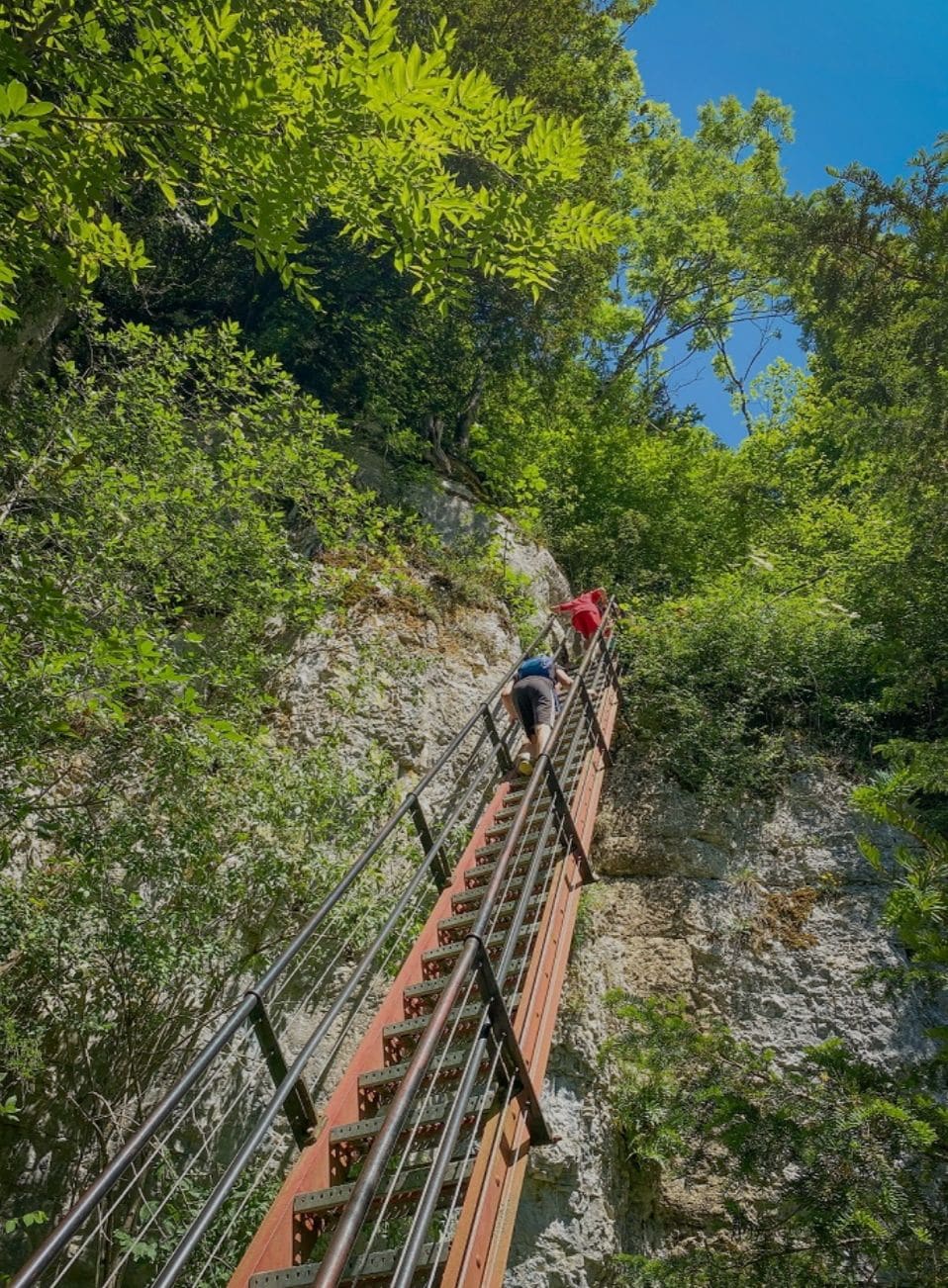 A metal staircase ascends vertically against a rocky cliff, flanked by lush green foliage. Sunlight filters through the leaves, illuminating the path. Two individuals are seen climbing, emphasizing the height and natural surroundings.