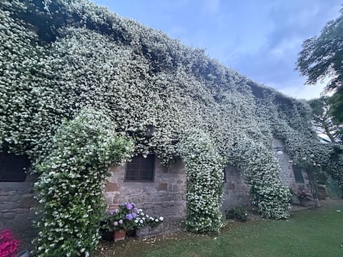 Antica villa Giardino e piscina