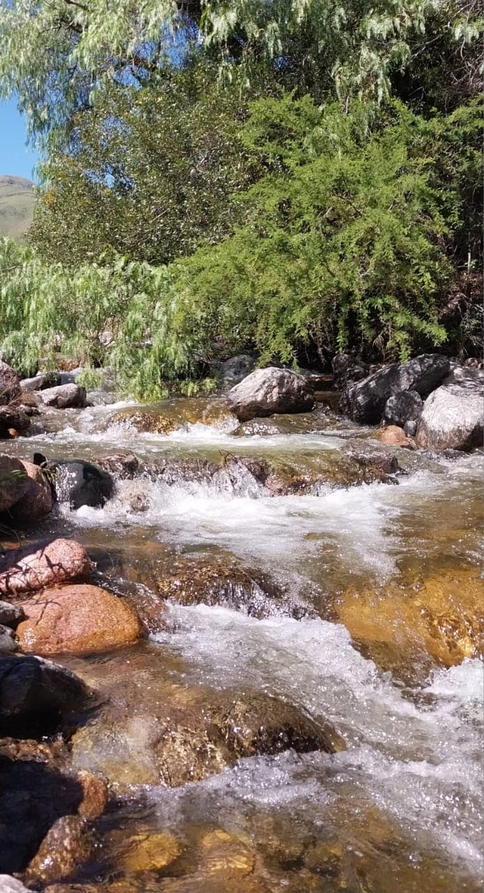 A gently flowing river is visible, with clear water moving over smooth pebbles and rocks. Surrounding vegetation includes lush green trees and shrubs, providing a natural setting. The sunlight reflects off the water, creating a serene atmosphere amidst the peaceful landscape.