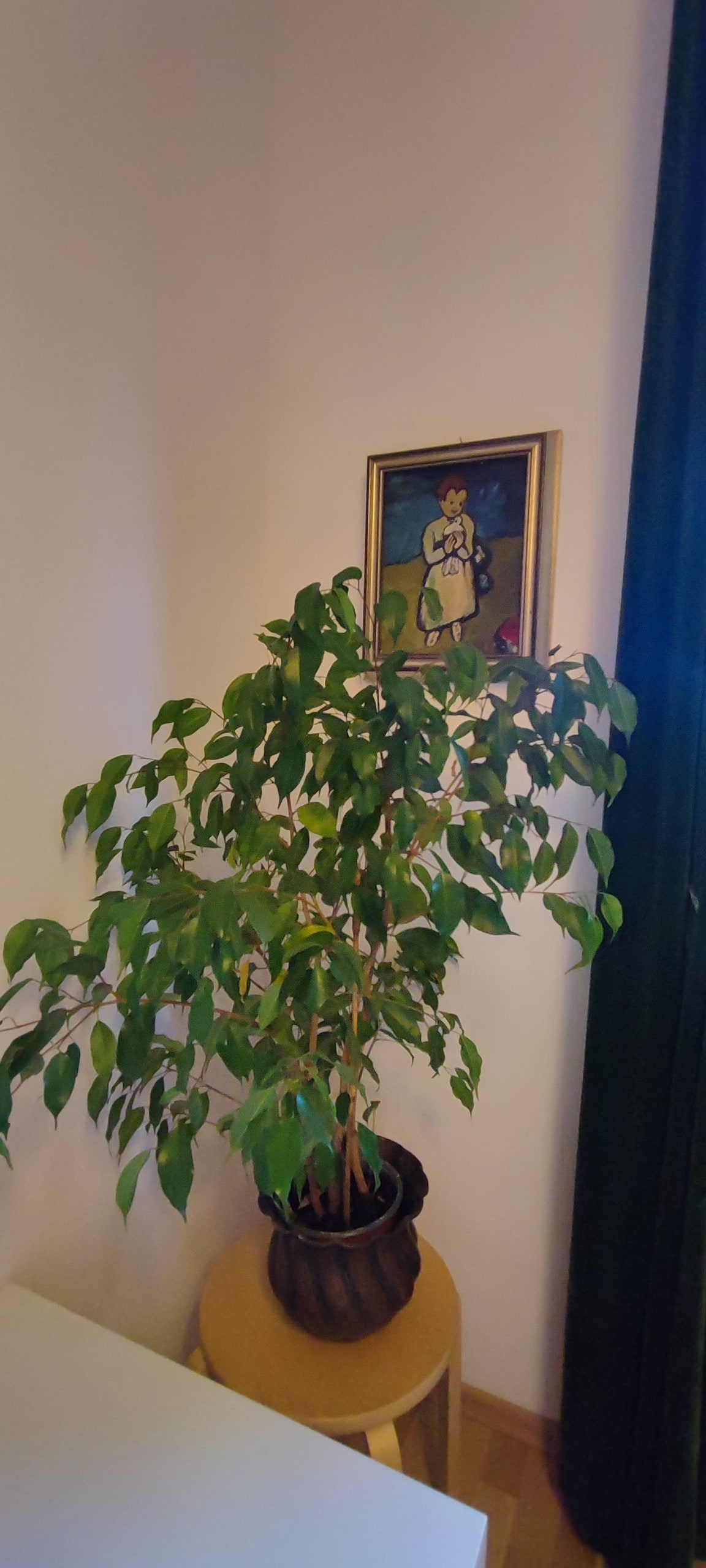 Spacious 3-room apartment in the city center