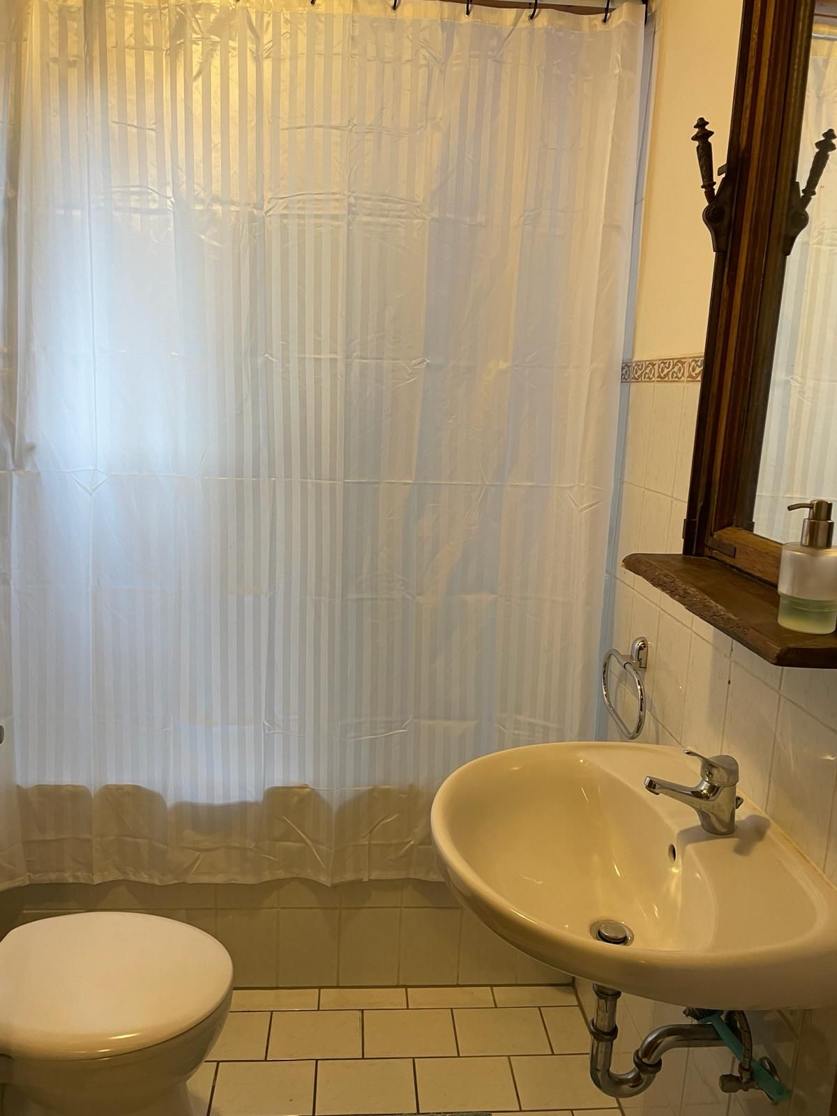 Spacious 3-room apartment in the city center
