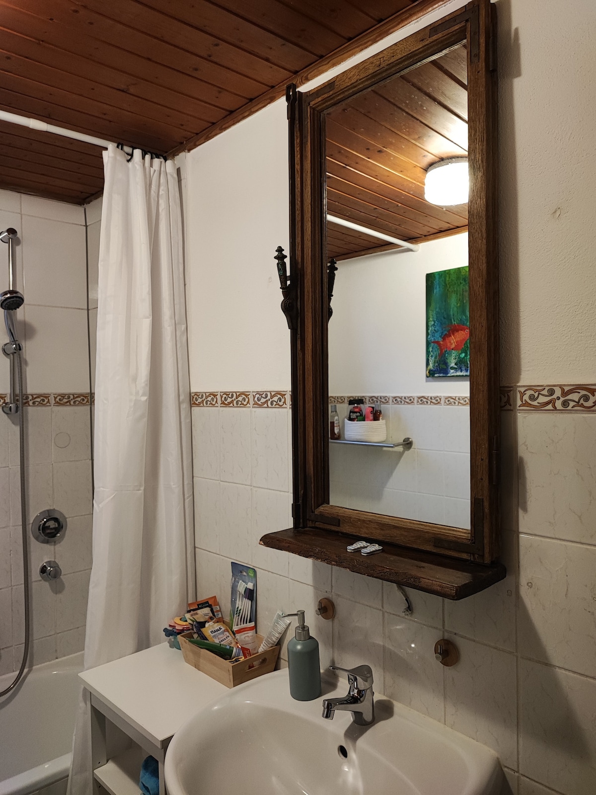 Spacious 3-room apartment in the city center