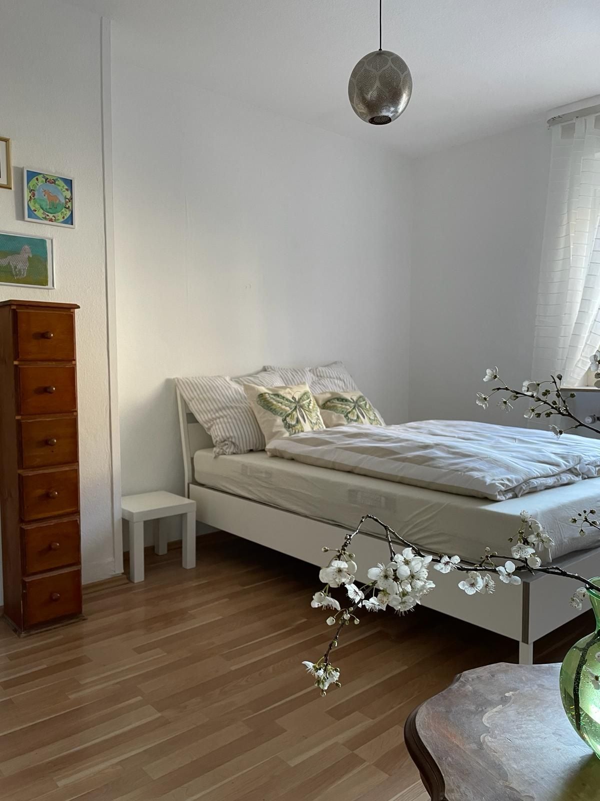 Spacious 3-room apartment in the city center