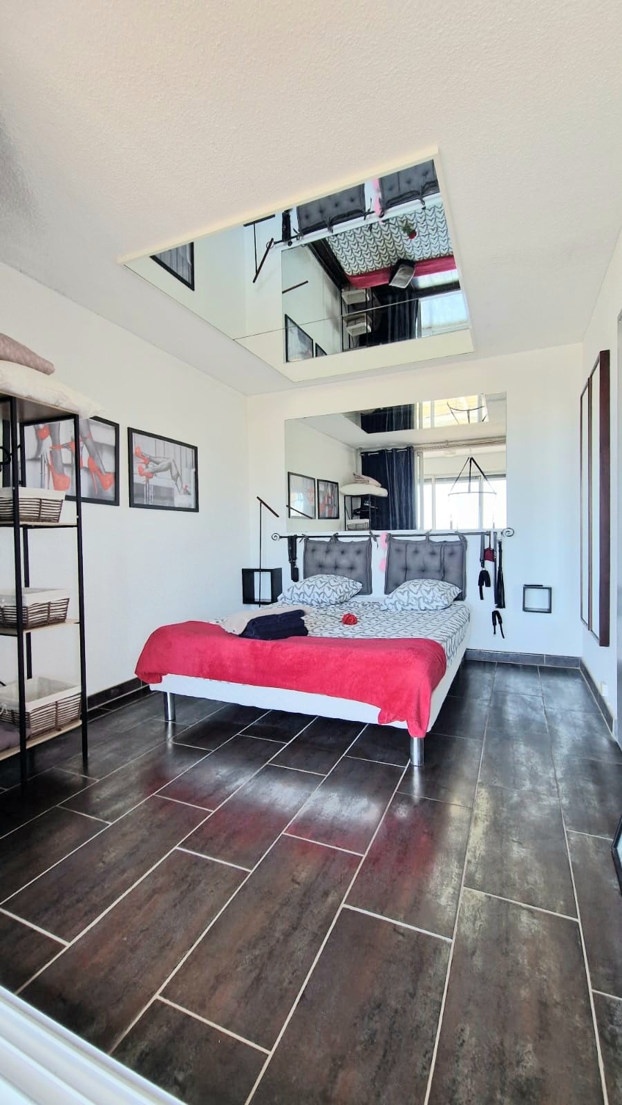 A separate bedroom features a spacious bed with a mirrored ceiling, enhancing the room's openness. Art pieces adorn the walls, and shelving units provide additional storage. The space is complemented by ample natural light filtering through the window.