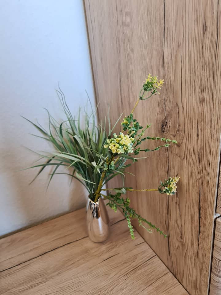 Ferienwohnung Pflüger - Tauberbischofsheim