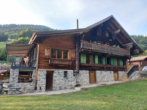 Top Airbnb: Large apartment, private garden with terrace in Leysin