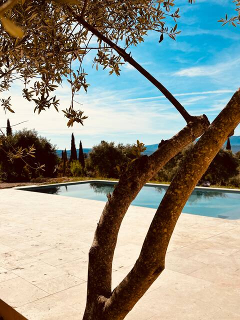Luberon: Mas de la canopy, Piscine&Climatisation