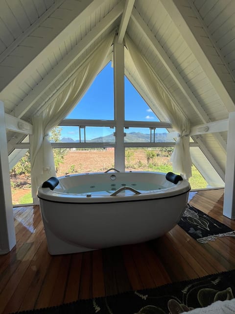 Hydro, chalet and balloon