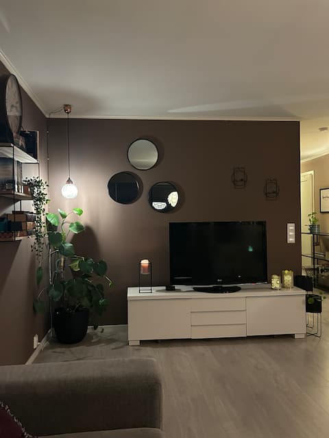 Successful Airbnb property: Apartment in Fetsund in Lillestrøm