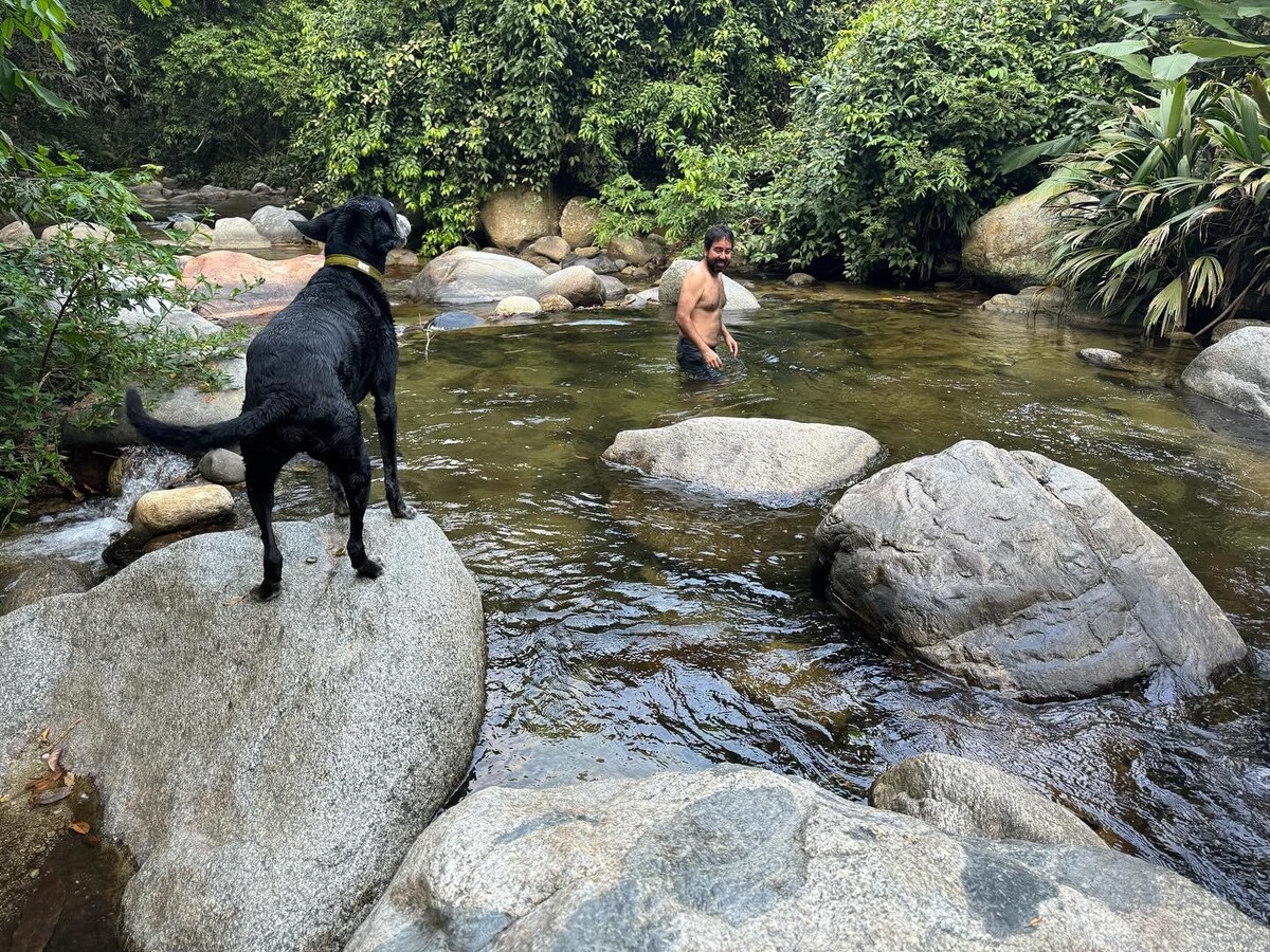 A calm river flows through smooth stones and boulders, surrounded by lush greenery. A person wades in the water, while a black dog stands on a large rock, observing the scene. The vibrant natural setting invites a sense of serenity and exploration.