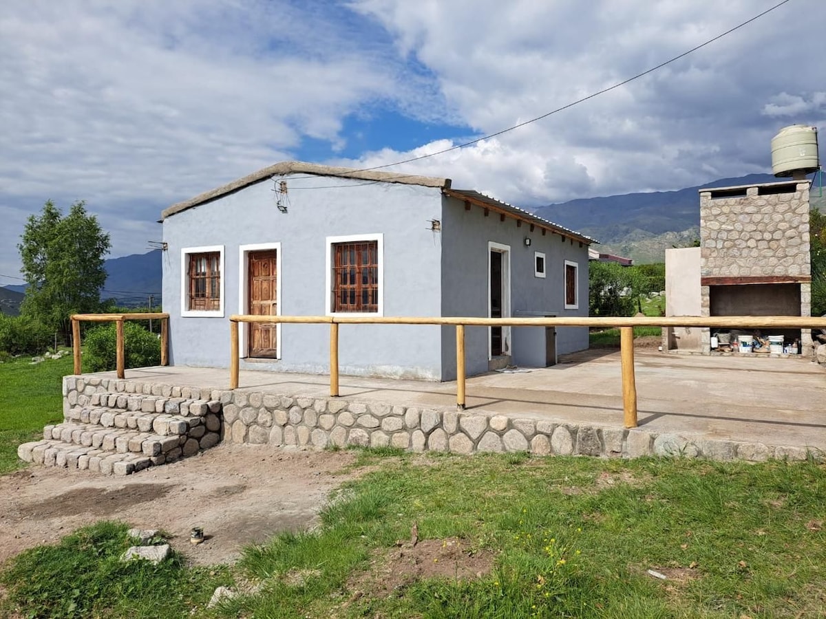 A charming exterior view of a blue house featuring a covered porch with wooden railings. Stone steps lead up to the entrance. A stone barbecue area is visible to the side, with a backdrop of green grass and distant mountains under a partly cloudy sky.