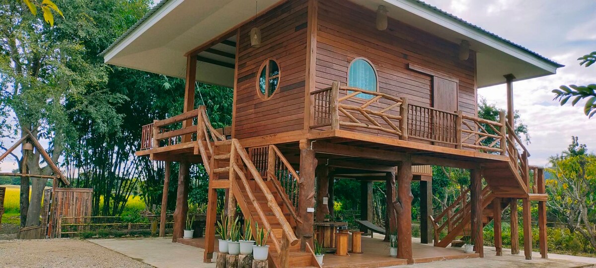 A wooden house elevated on stilts features a spacious deck with railings, showcasing circular and rectangular windows. Surrounding greenery contrasts with the natural wood tones, enhancing the rustic charm. The lower level offers additional seating areas and access to the outdoor space.