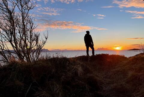 Vestfjord Panorama - FalckBerget