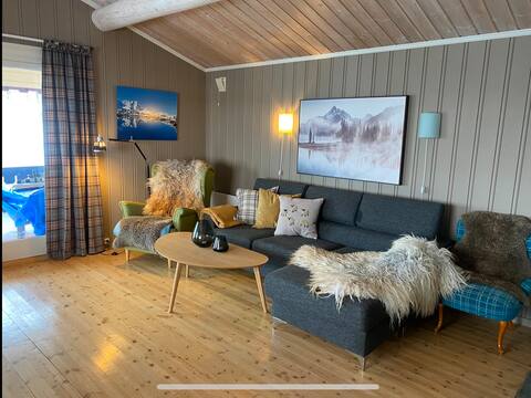 Successful Airbnb property: Cozy cabin at Vaset in Valdres Skiing, hiking, fishing in Vestre Slidre