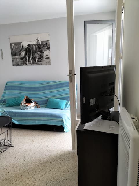 Top Airbnb: Apartment 300 m from the beach à Le Grau Du Roi