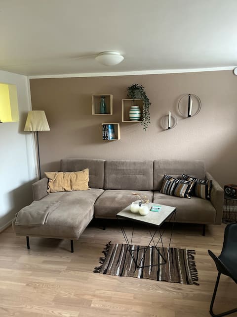 Popular Airbnb listing: Cozy basement with private entrance. Living room/bedroom/bathroom in Herning