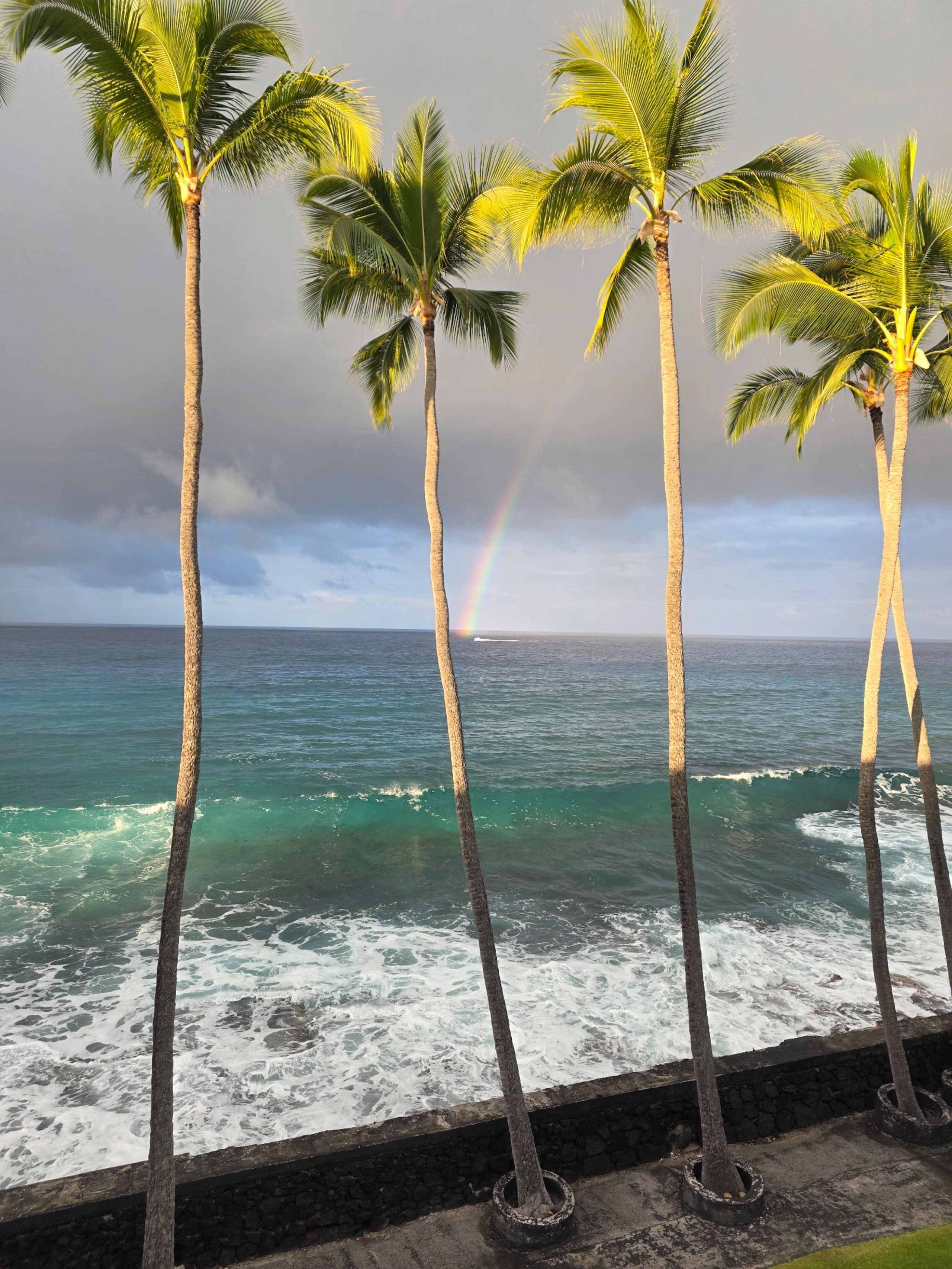 Condo in Kailua-Kona · ★4.95 · 1 bedroom · 1 bed · 1 bath - Image 81