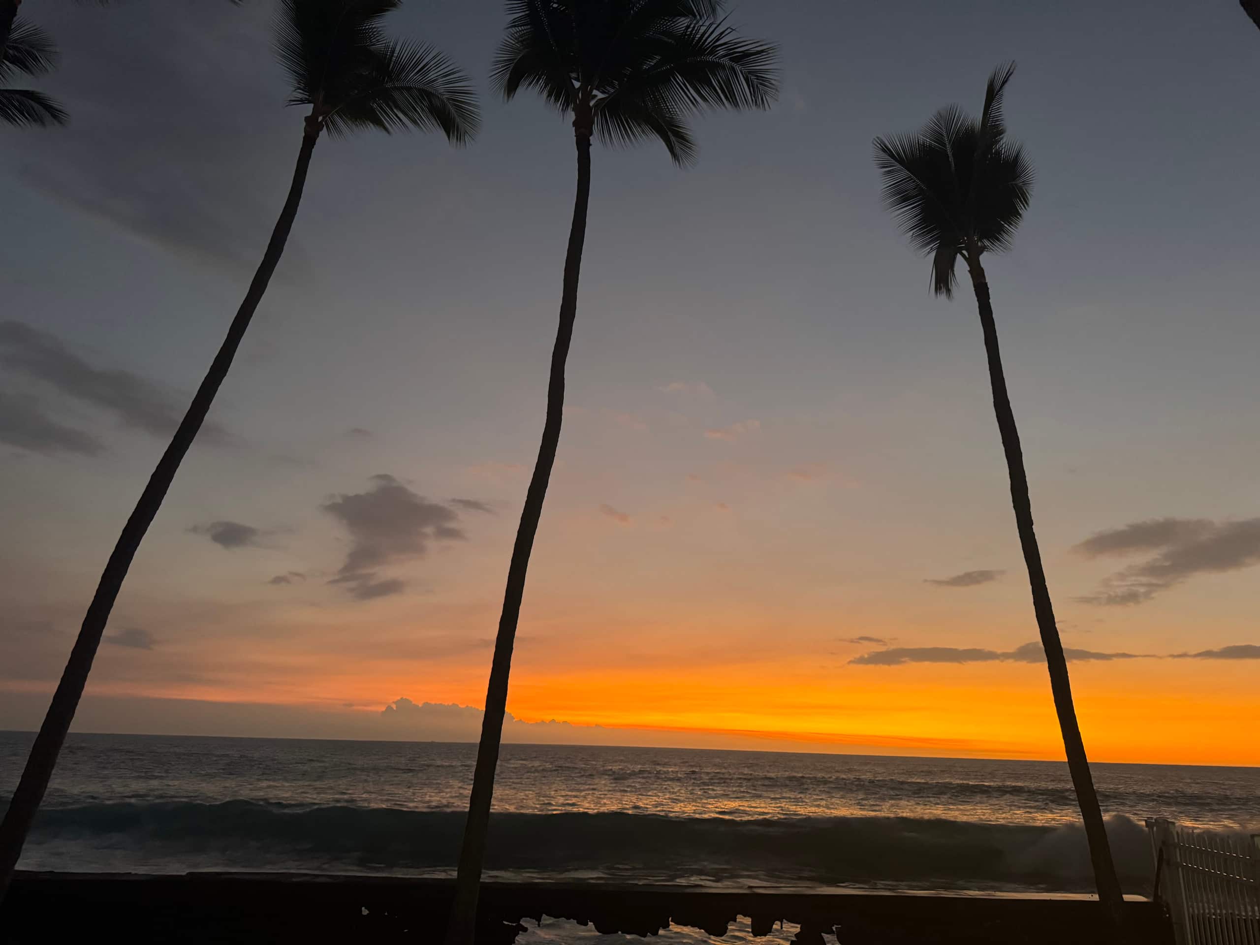 Condo in Kailua-Kona · ★4.95 · 1 bedroom · 1 bed · 1 bath - Image 70