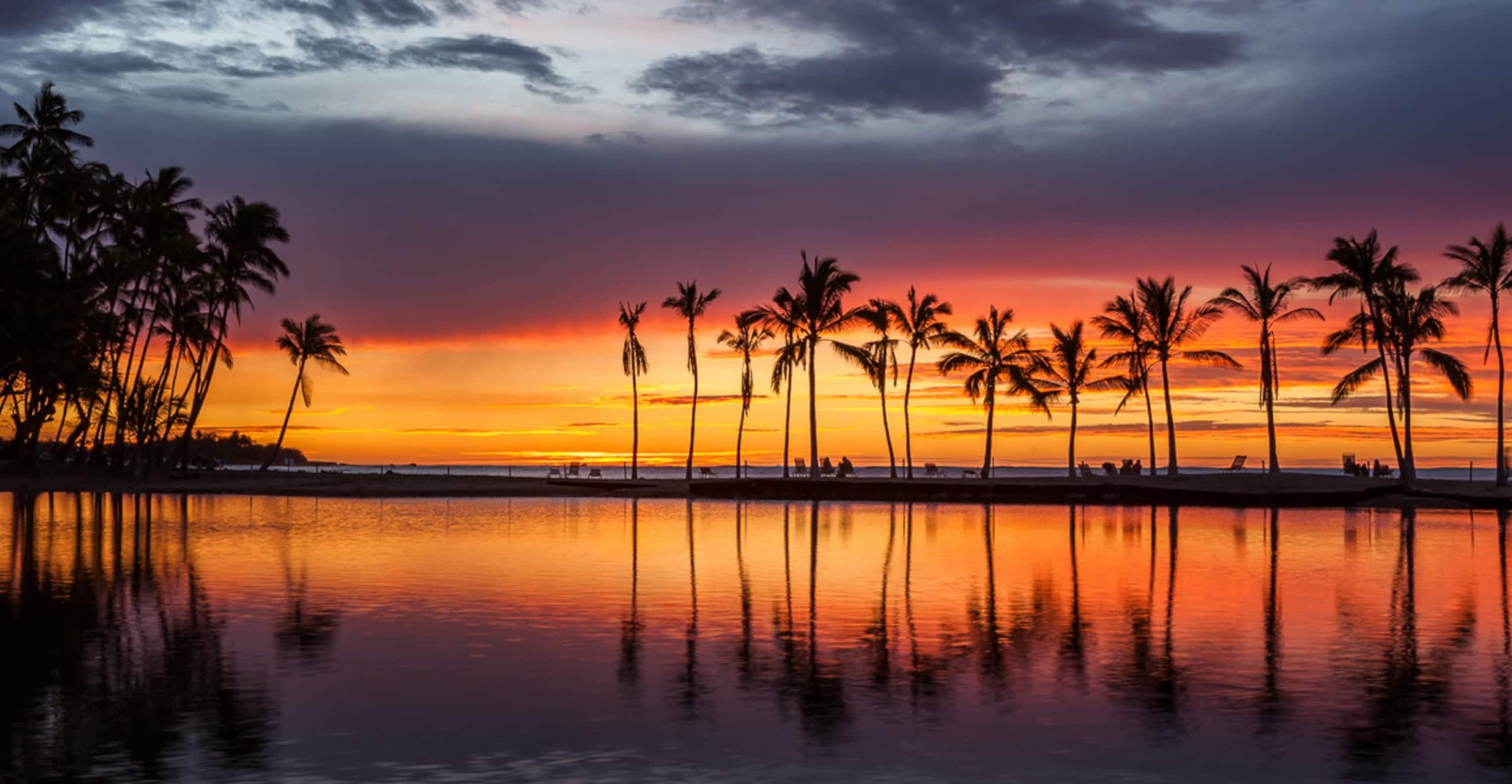 Condo in Kailua-Kona · ★4.95 · 1 bedroom · 1 bed · 1 bath - Image 73