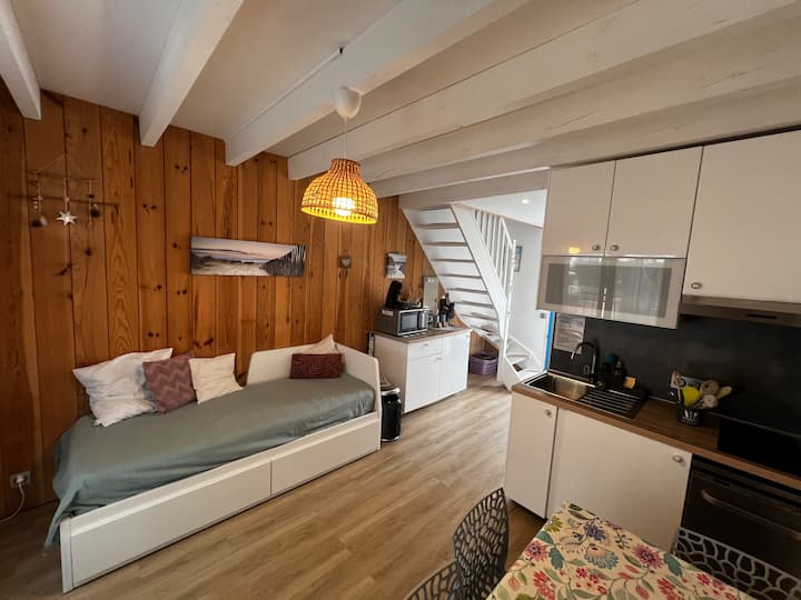 Maison 4 Pers Biscarrosse Direct Plage - Biscarrosse