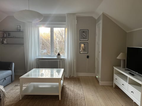 Top Airbnb: Large loft apartment close to the city, sea and nature in Göteborg