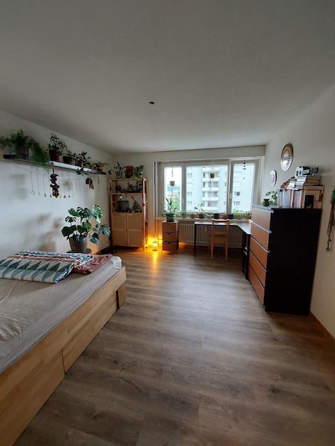 Green apartment on Pfäffikersee