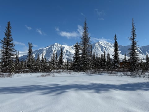 *Copper Cabin* Studio Apartment near Denali Park
