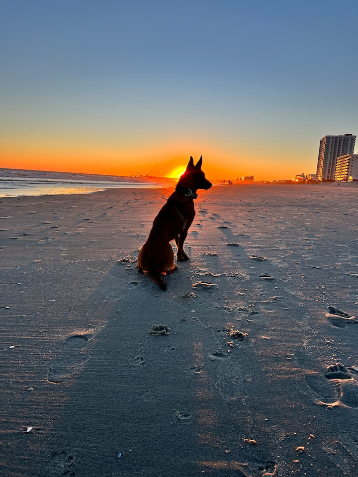 Pet Friendly Cherry Grove | Walk To Beach - North Myrtle Beach, SC