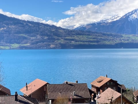 Top performing Airbnb: Studio with lake and mountain views in Beatenberg