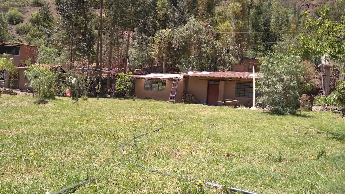 A spacious green garden area surrounds a rustic adobe cabin, featuring multiple windows. A ladder leans against the cabin, and various trees provide shade. The serene landscape is framed by the surrounding mountains, creating a peaceful natural setting.