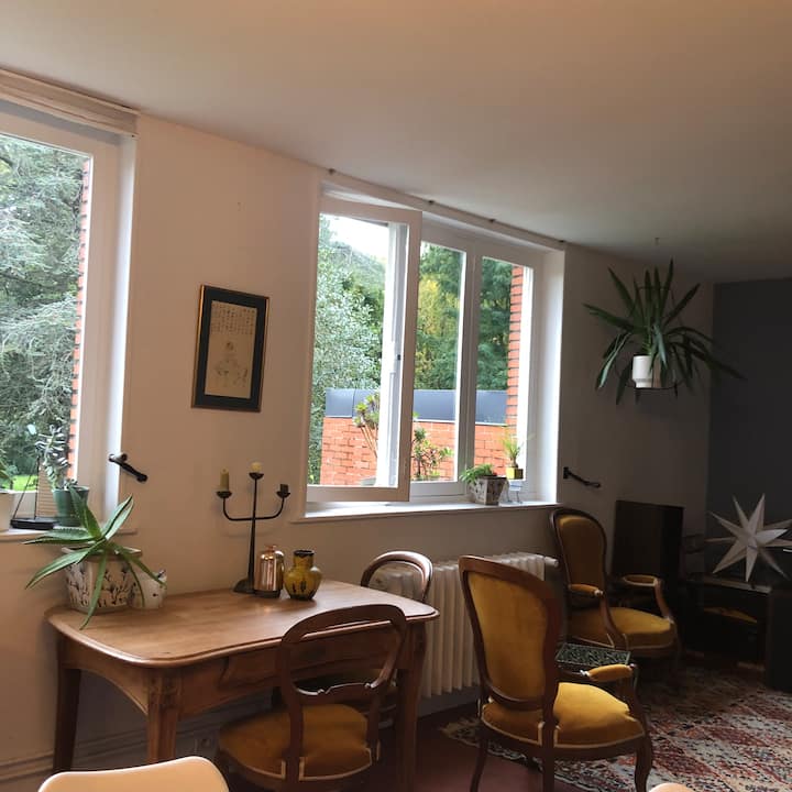 Clarté Et Cosy Dans Un Espace Très Calme - Lille