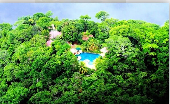 An aerial view reveals a secluded lodge nestled among lush greenery, featuring a serene swimming pool surrounded by palm trees and vibrant flora. The property is harmoniously integrated into the natural landscape, providing a sense of tranquility and privacy.