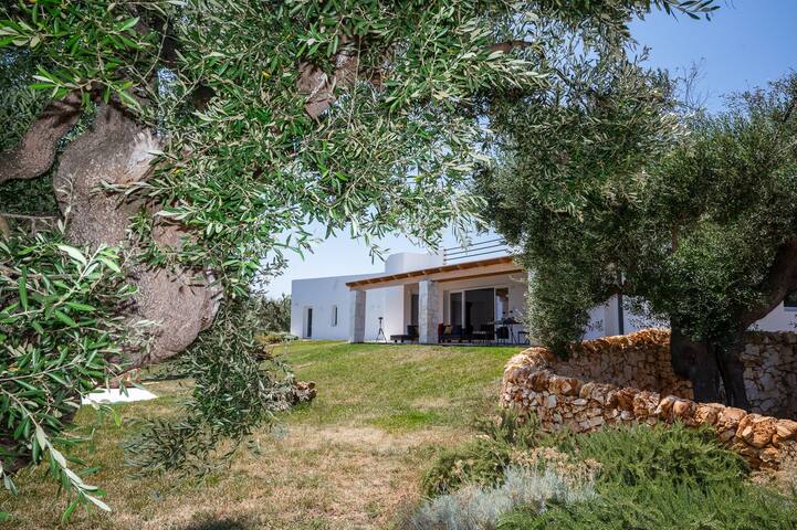 Culture, soleil et gastronomie gallery image 5