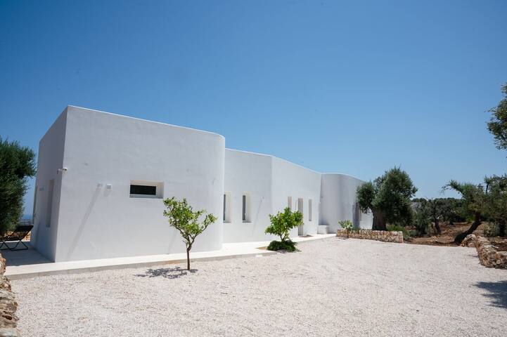 Culture, soleil et gastronomie gallery image 3