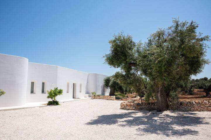 Culture, soleil et gastronomie gallery image 4