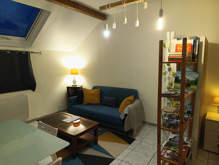 Lumineux Appartement 1 Pièce Meublé Portes Sundgau - Rixheim