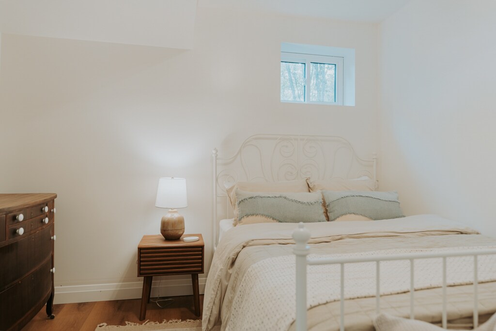 安静的地下室卧室，配有标准双人床垫和湖景