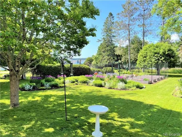 Cottage on Queen gallery image 2