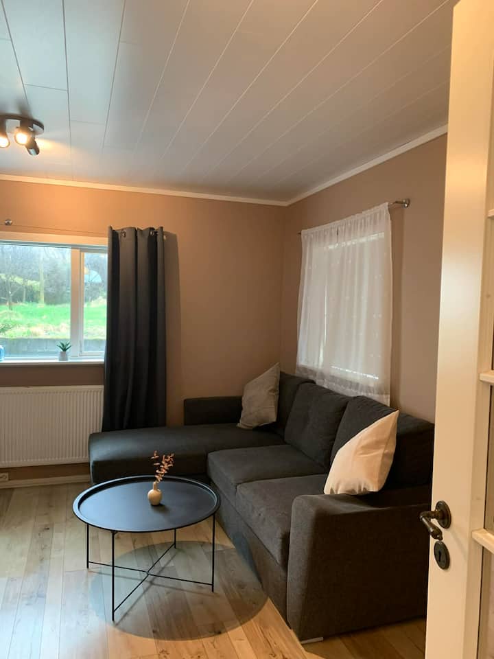 Cozy First Floor Apartment In Central - Iceland