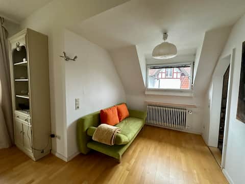 Successful Airbnb property: Vacation home apartment *Orient* in Gengenbach
