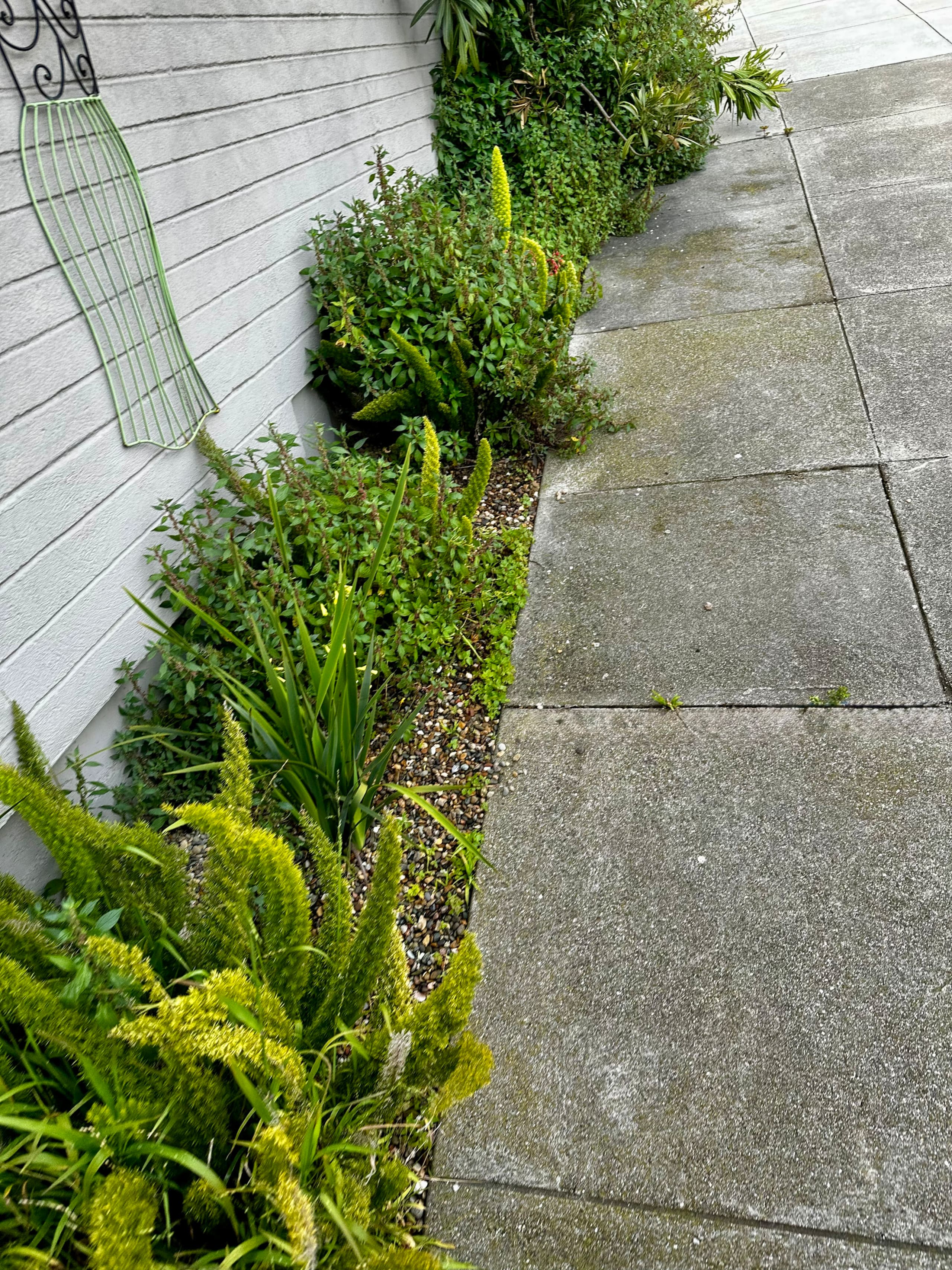 Condo in San Francisco · ★4.57 · 2 bedrooms · 3 beds · 1 bath - Image 42
