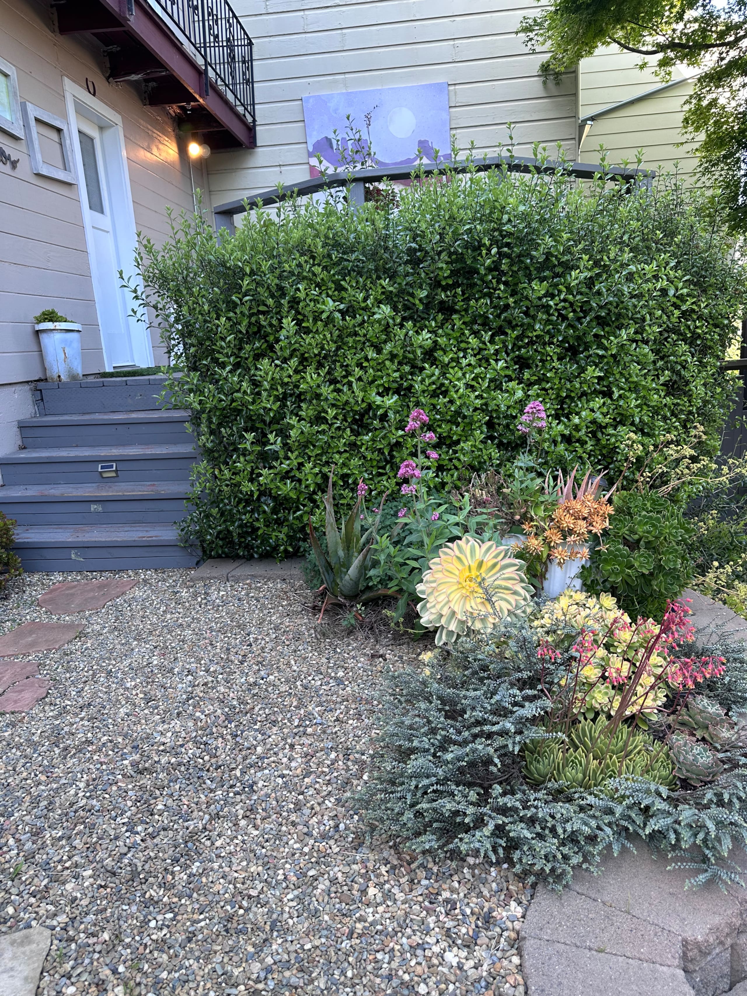 Condo in San Francisco · ★4.57 · 2 bedrooms · 3 beds · 1 bath - Image 25