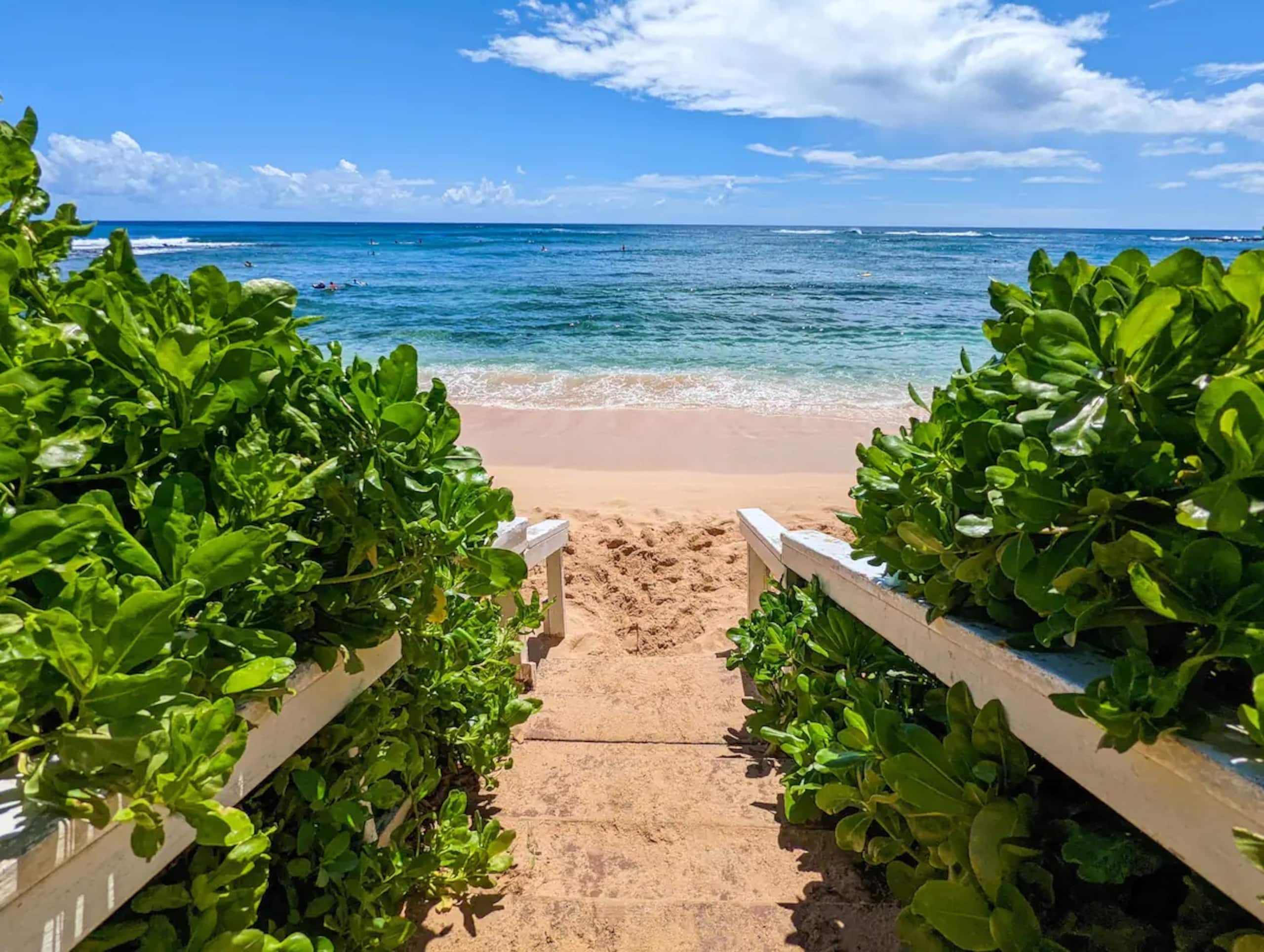 Home in Koloa · ★4.91 · 1 bedroom · 2 beds · 1 shared bath - Image 29