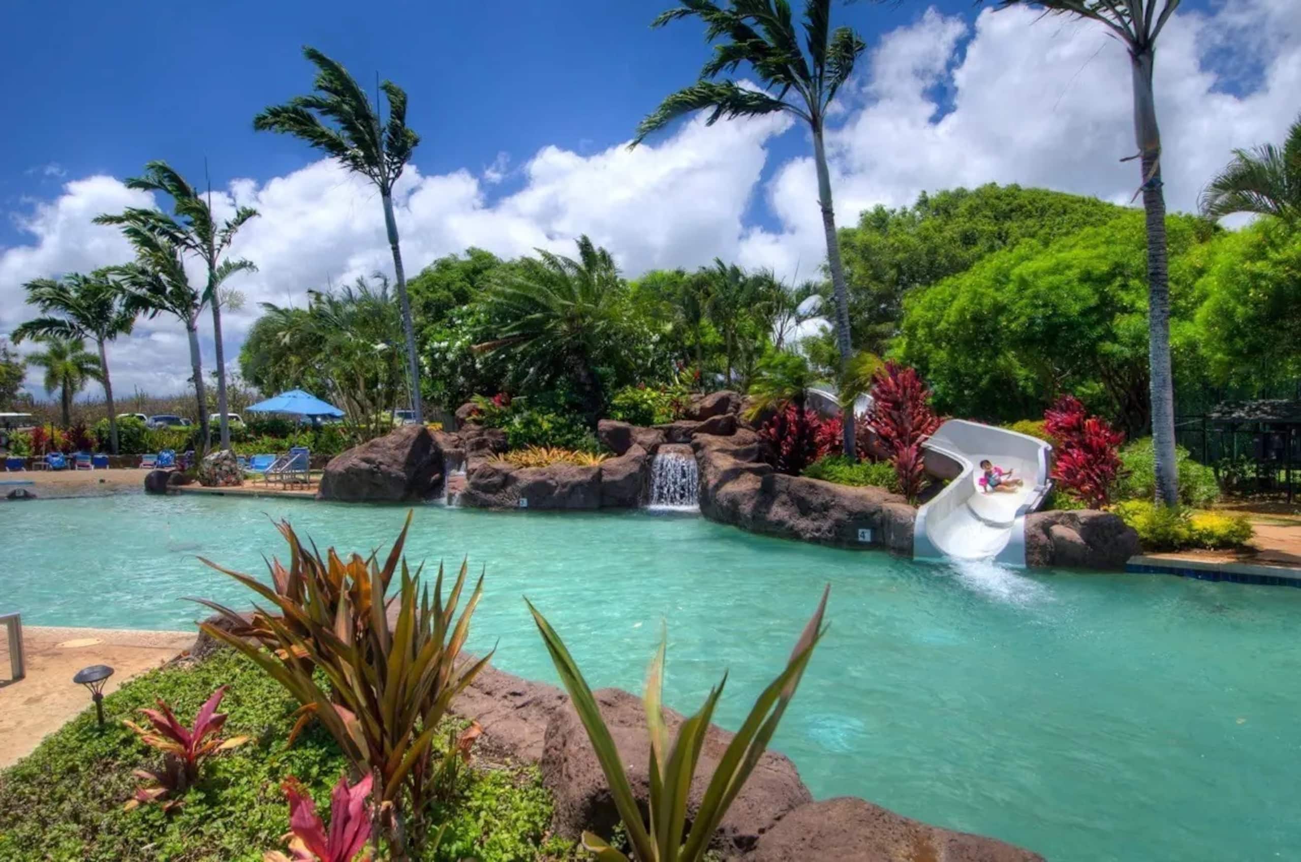 Home in Koloa · ★4.91 · 1 bedroom · 2 beds · 1 shared bath - Image 19