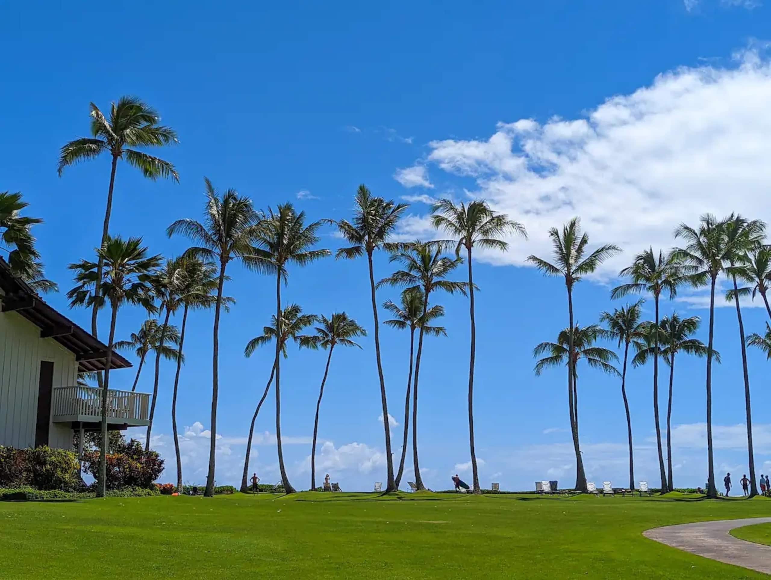 Home in Koloa · ★4.91 · 1 bedroom · 2 beds · 1 shared bath - Image 33