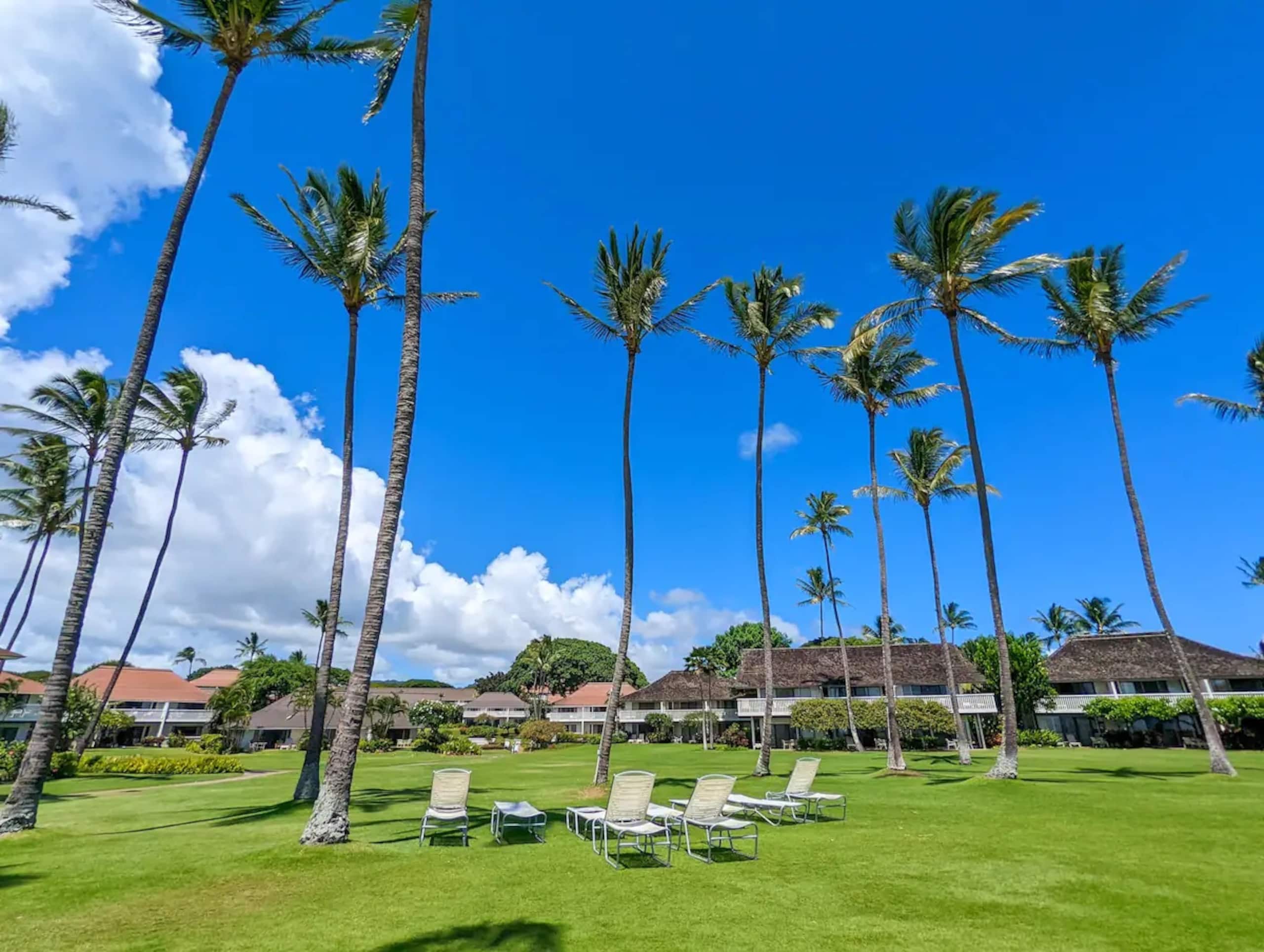 Home in Koloa · ★4.91 · 1 bedroom · 2 beds · 1 shared bath - Image 34