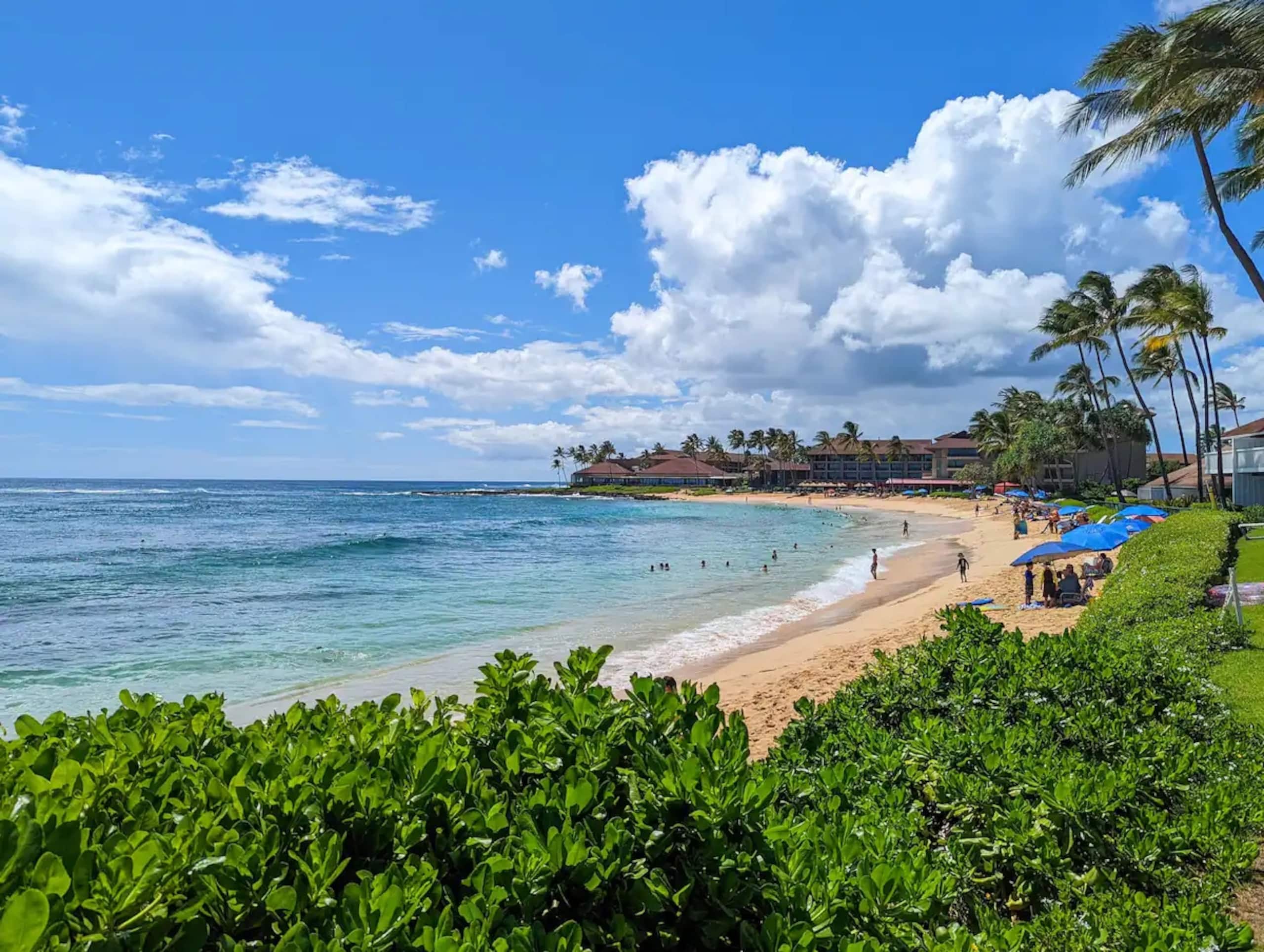 Home in Koloa · ★4.91 · 1 bedroom · 2 beds · 1 shared bath - Image 20