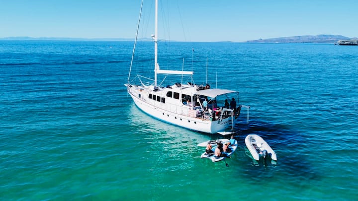 Big Beautiful Boat Tours! - La Paz, Mexique