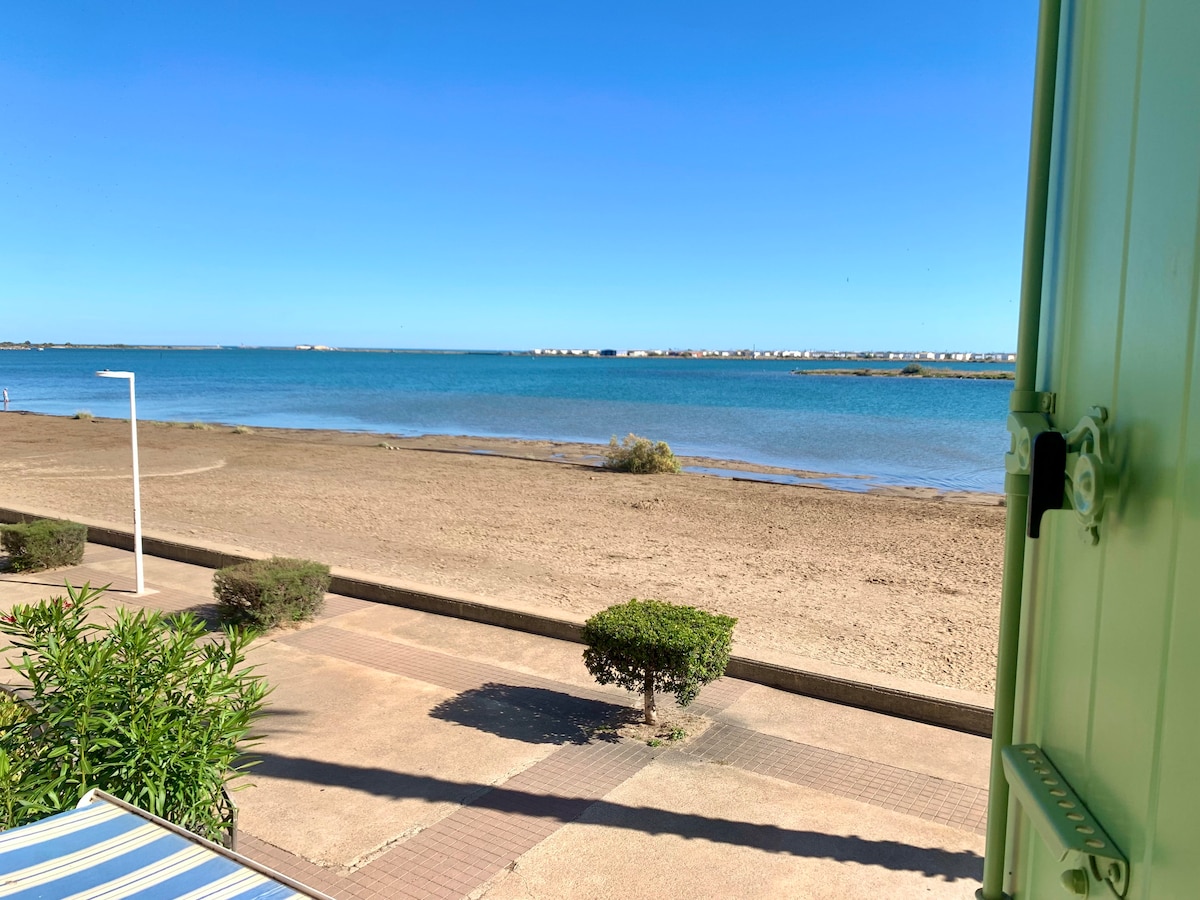 A serene beachfront view showcases calm waters, where the shoreline is met by a sandy area. Lush greenery in the foreground frames the setting, with a clear blue sky above. Nearby, a pedestrian walkway invites leisurely strolls along the coast.